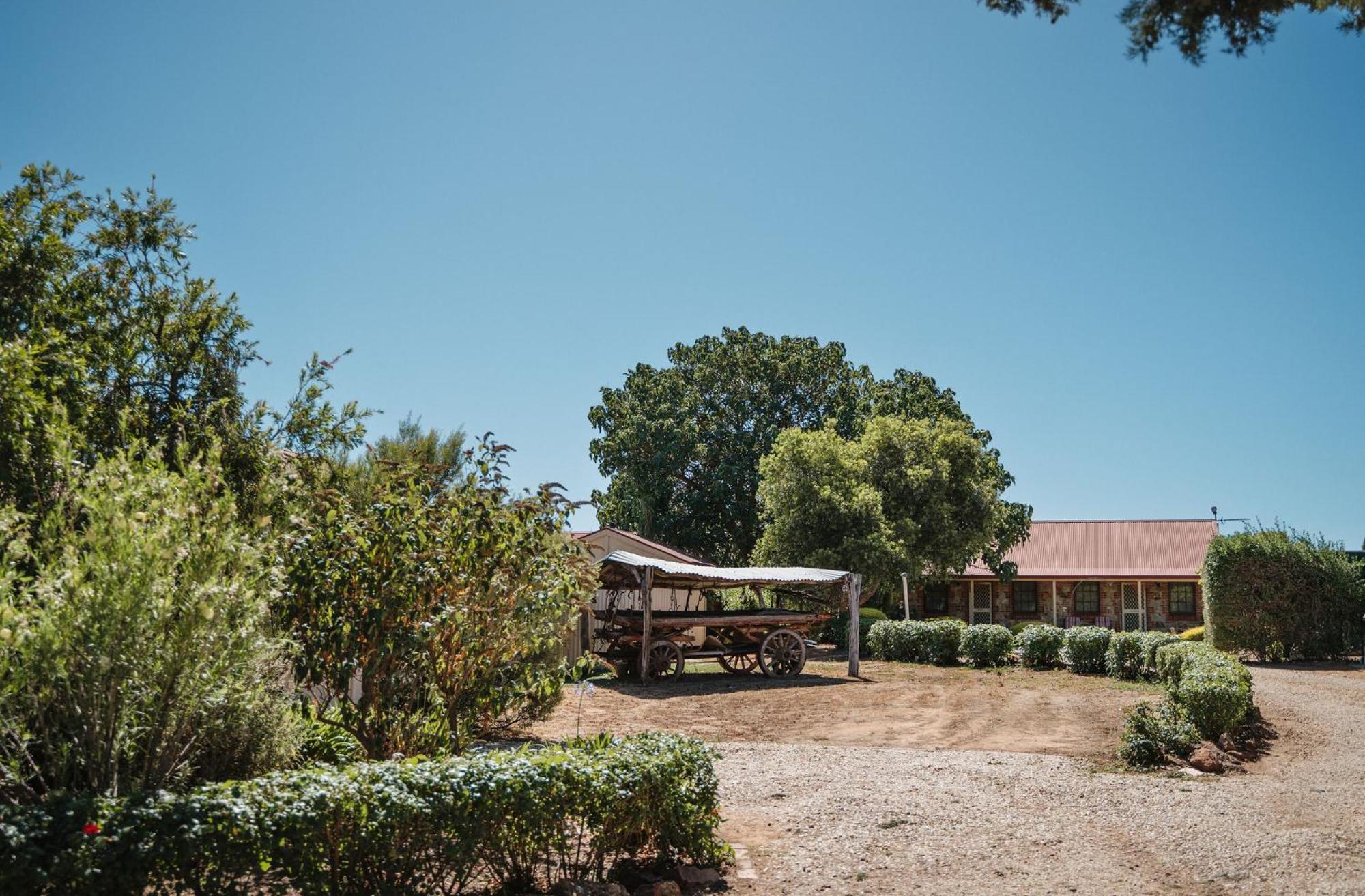 Langmeil Cottages Tanunda Exterior foto